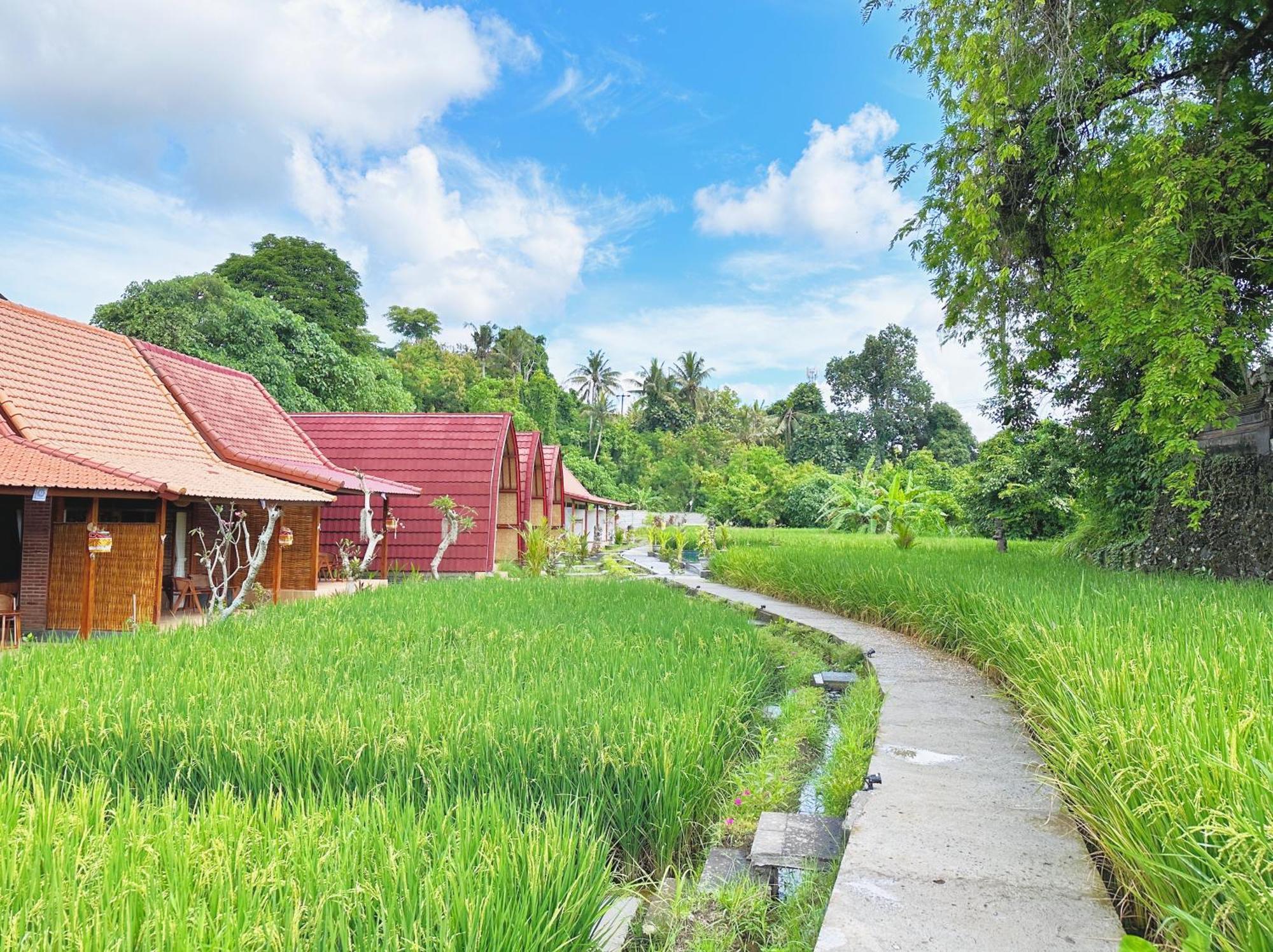 Uma Raos Cottage Ubud Exterior foto